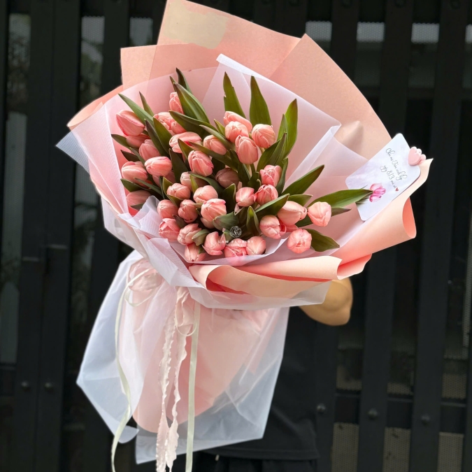 “Tulip Hồng Nhập Khẩu – Dịu Dàng Yêu Thương”